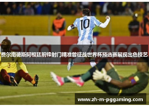 费尔南德斯阿根廷前锋射门精准曾征战世界杯预选赛展现出色技艺 费尔南德斯阿根廷前锋射门精准曾征战世界杯预选赛展现出色技艺