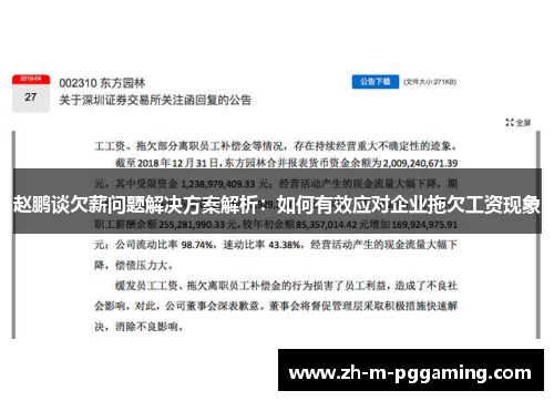 赵鹏谈欠薪问题解决方案解析:如何有效应对企业拖欠工资现象 赵鹏谈欠薪问题解决方案解析:如何有效应对企业拖欠工资现象