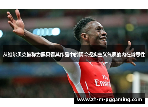 从维尔贝克被称为黑贝看其作品中的阴冷现实主义气质的内在哲思性 从维尔贝克被称为黑贝看其作品中的阴冷现实主义气质的内在哲思性