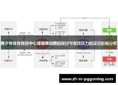 青少年体育竞技中心理健康问题的探讨与竞技压力的深远影响分析